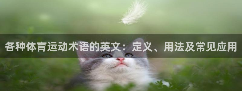 球客岛：各种体育运动术语的英文：定义、用法及常见应用