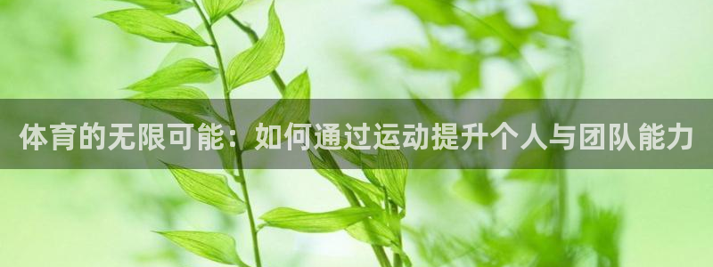 球客岛：体育的无限可能：如何通过运动提升个人与团队能力