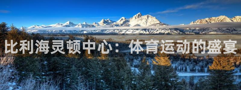 球客岛：比利海灵顿中心：体育运动的盛宴