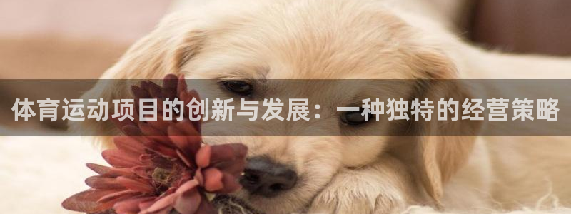 球客岛：体育运动项目的创新与发展：一种独特的经营策略