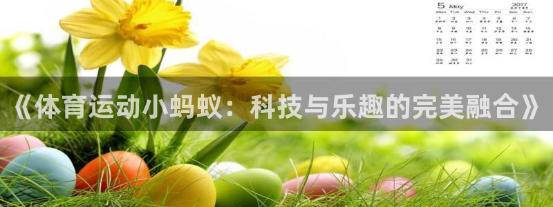 球客岛：《体育运动小蚂蚁：科技与乐趣的完美融合》