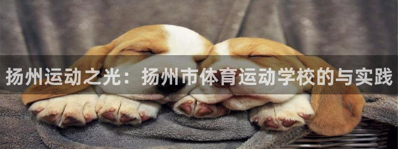 球客岛：扬州运动之光：扬州市体育运动学校的与实践