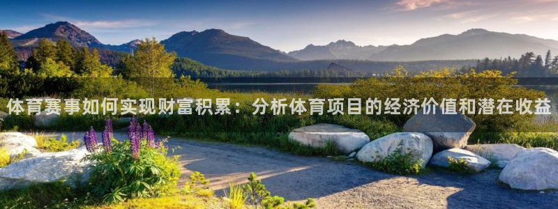 球客岛：体育赛事如何实现财富积累：分析体育项目的经济价值和潜在收益