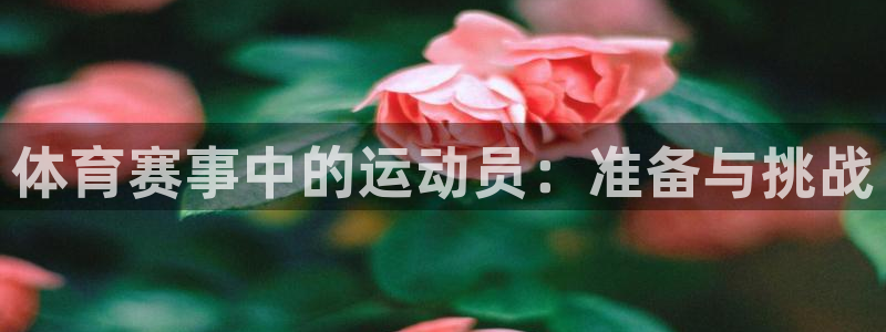球客岛：体育赛事中的运动员：准备与挑战