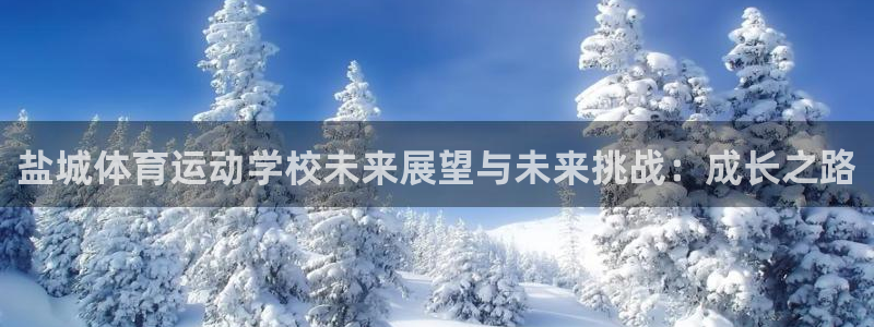 球客岛：盐城体育运动学校未来展望与未来挑战：成长之路