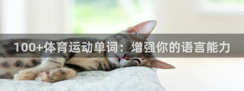 球客岛：100+体育运动单词：增强你的语言能力