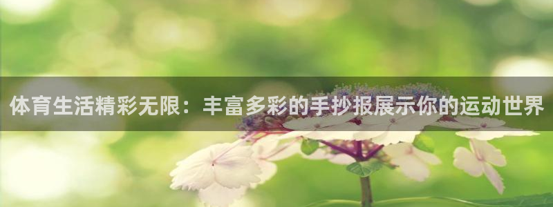 球客岛：体育生活精彩无限：丰富多彩的手抄报展示你的运动世界