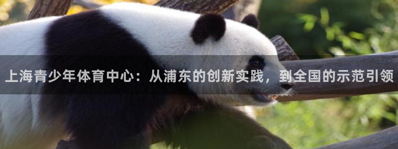 球客岛：上海青少年体育中心：从浦东的创新实践，到全国的示范引领