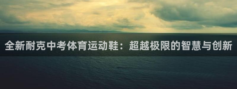 球客岛：全新耐克中考体育运动鞋：超越极限的智慧与创新