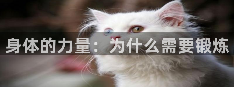 球客岛：身体的力量：为什么需要锻炼