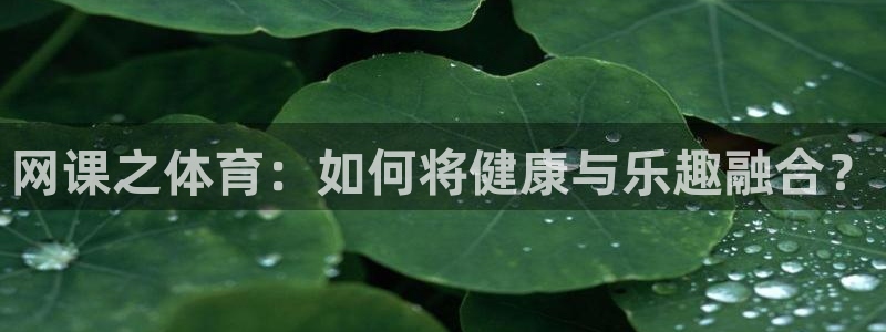 球客岛