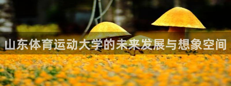 球客岛：山东体育运动大学的未来发展与想象空间